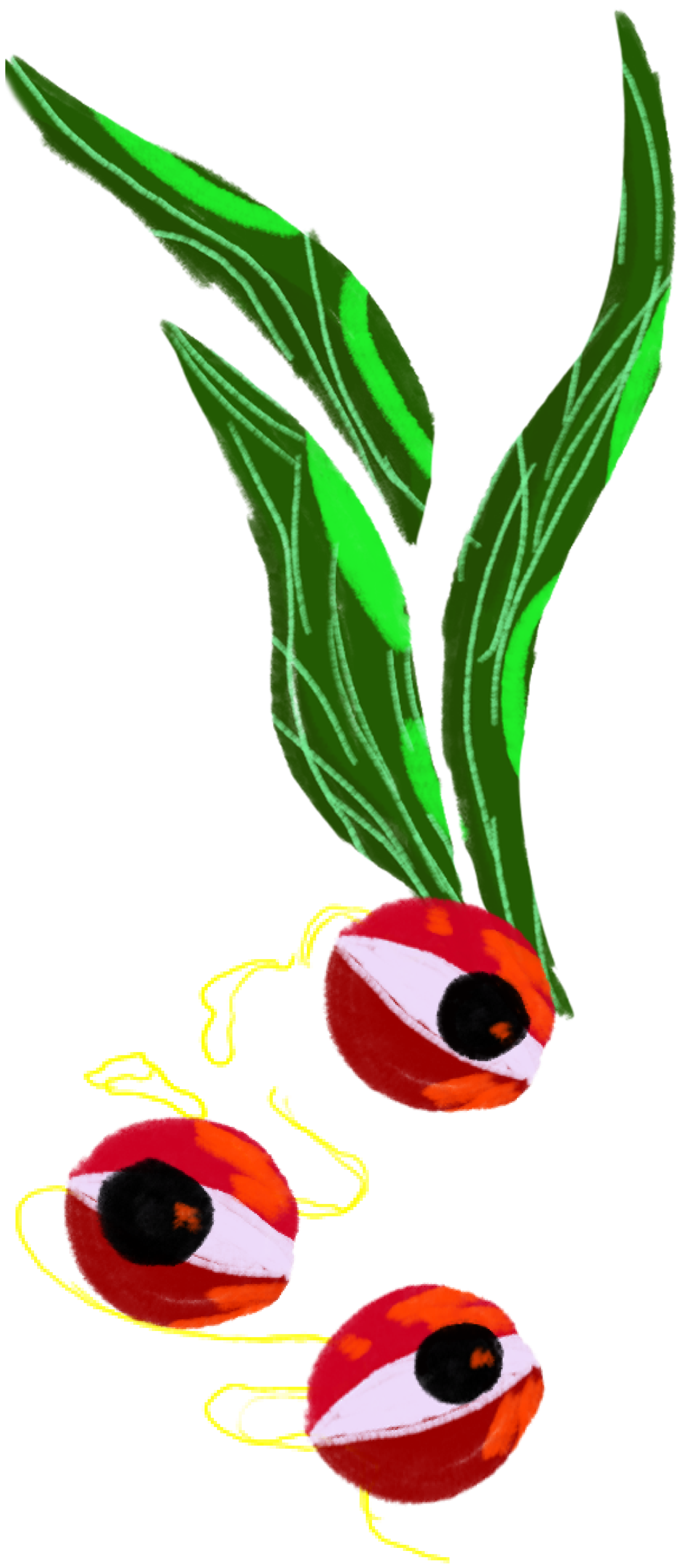 Olhos com algas marinhas